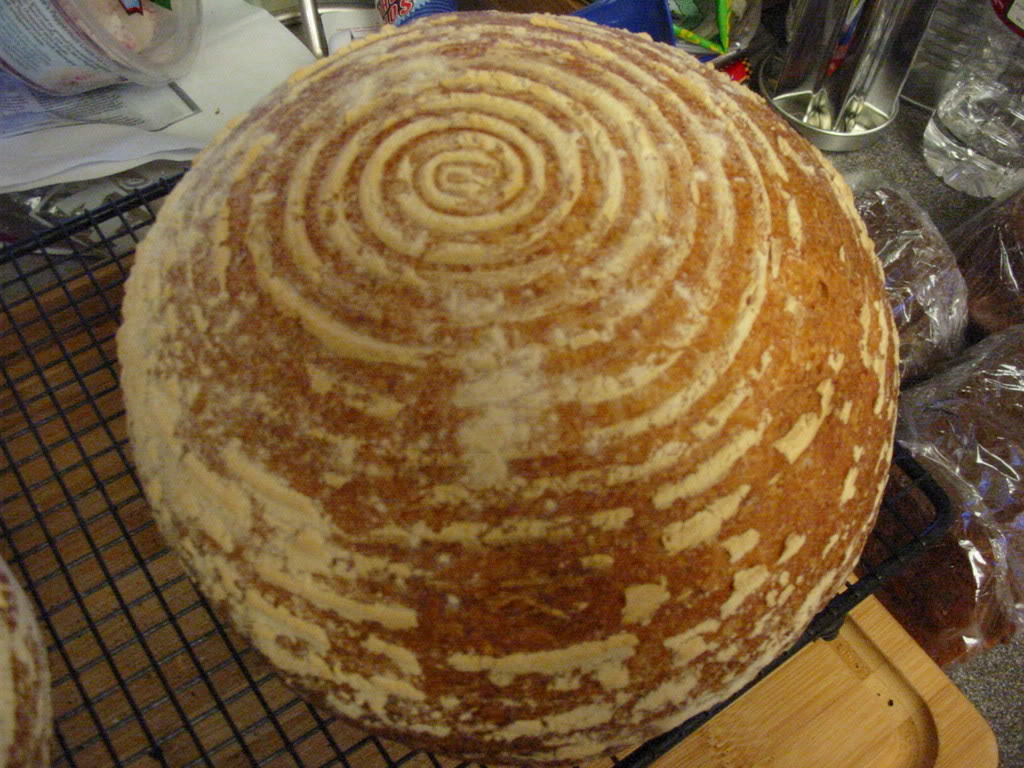 Name:  IMG_2411.jpg
Views: 20
Size:  158.8 KB