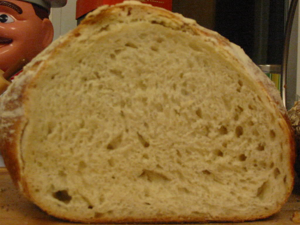 Name:  IMG_2413.jpg
Views: 21
Size:  110.0 KB