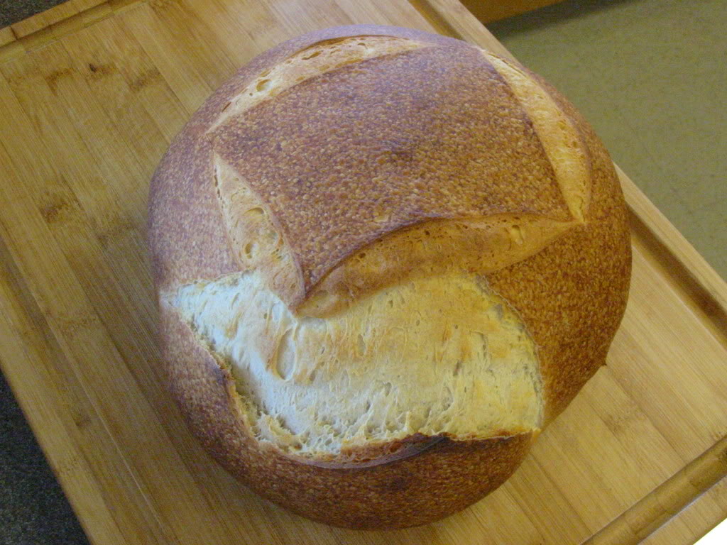 Name:  IMG_2383.jpg
Views: 21
Size:  148.0 KB