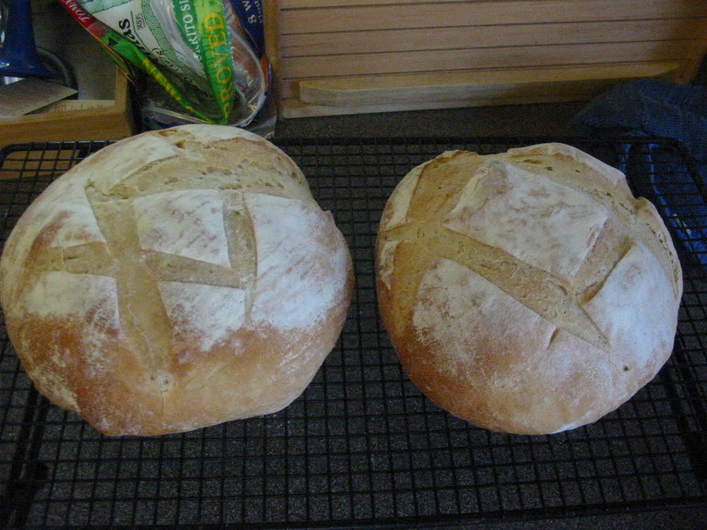 Name:  IMG_2386.jpg
Views: 19
Size:  149.6 KB