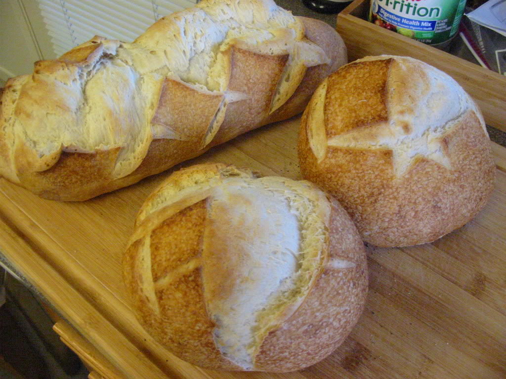 Name:  IMG_2392.jpg
Views: 20
Size:  149.5 KB