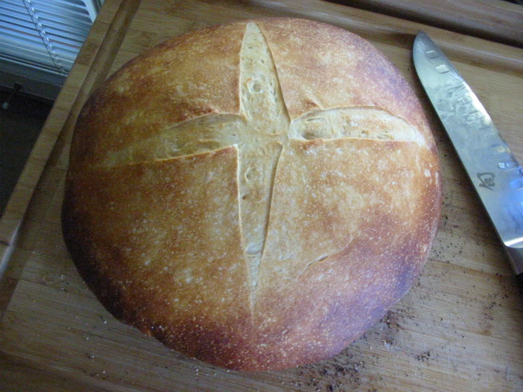 Name:  IMG_2403.jpg
Views: 20
Size:  141.9 KB