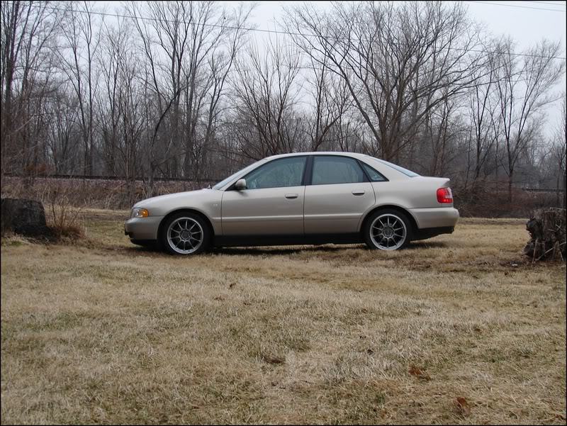 Name:  DSC02110.jpg
Views: 85
Size:  173.0 KB