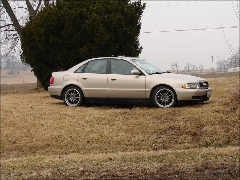 Name:  DSC02114.jpg
Views: 38
Size:  145.9 KB