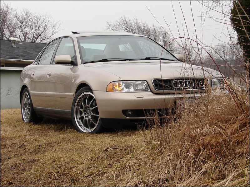 Name:  DSC02117.jpg
Views: 70
Size:  167.2 KB