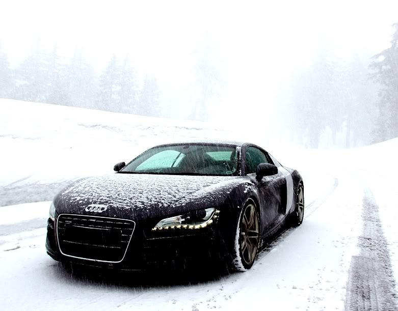 Name:  112_0707_08wm2008_audi_r8front_thre.jpg
Views: 87
Size:  65.0 KB