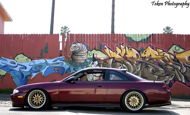 Name:  ProfileShot.jpg
Views: 87
Size:  58.3 KB