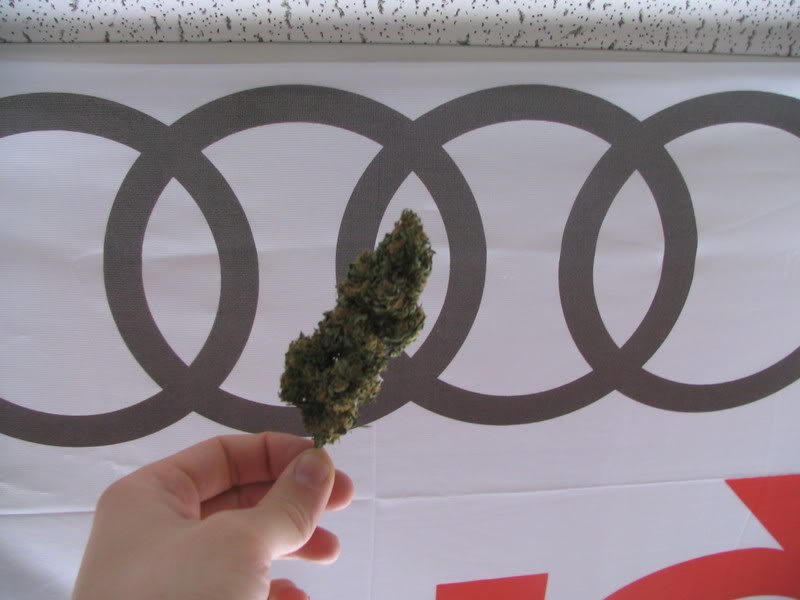 Name:  IMG_0013.jpg
Views: 19
Size:  50.2 KB