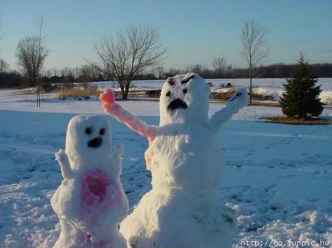 Name:  snow-owned.jpg
Views: 19
Size:  23.8 KB