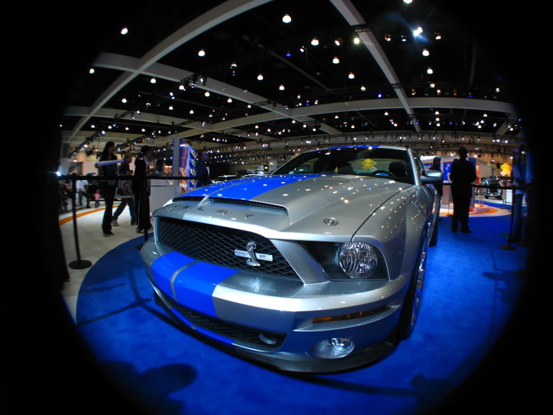 Name:  IMG_7893.jpg
Views: 25
Size:  78.5 KB