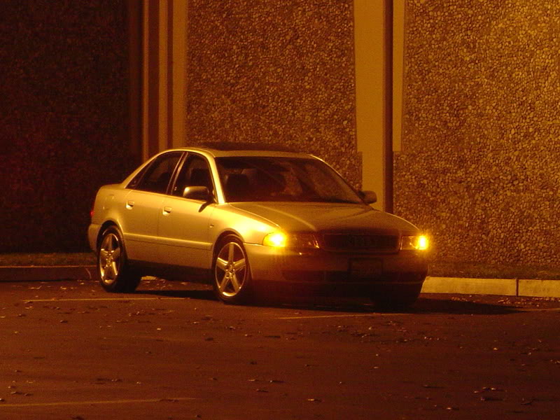 Name:  DSC03541.jpg
Views: 27
Size:  95.5 KB