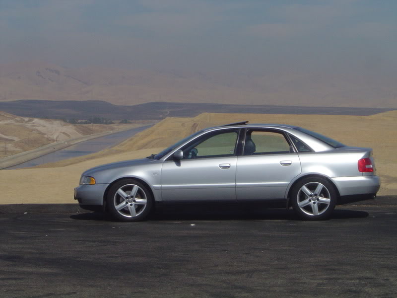 Name:  DSC03851.jpg
Views: 32
Size:  50.1 KB