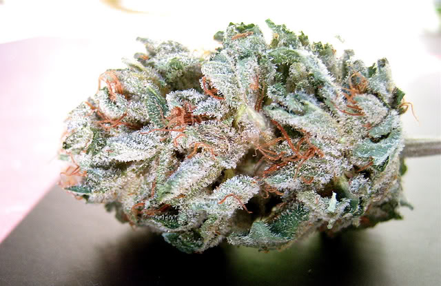 Name:  310741577_70f245d45e_b.jpg
Views: 27
Size:  75.0 KB