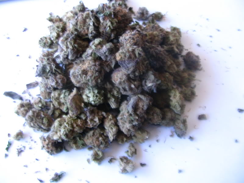 Name:  IMG_0052.jpg
Views: 61
Size:  67.9 KB