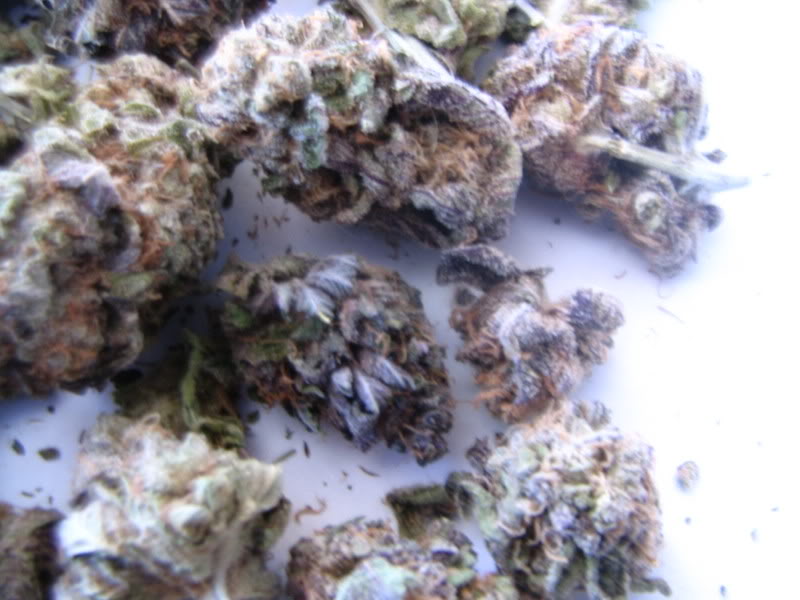 Name:  IMG_0072.jpg
Views: 27
Size:  70.9 KB