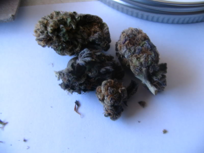 Name:  IMG_0062.jpg
Views: 66
Size:  43.0 KB