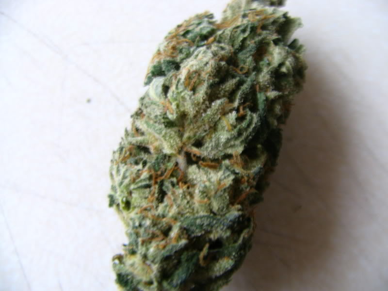 Name:  IMG_0045.jpg
Views: 19
Size:  50.3 KB