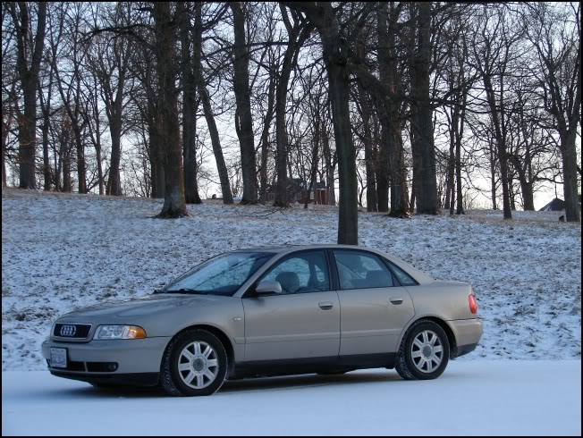 Name:  DSC01373.jpg
Views: 23
Size:  115.3 KB