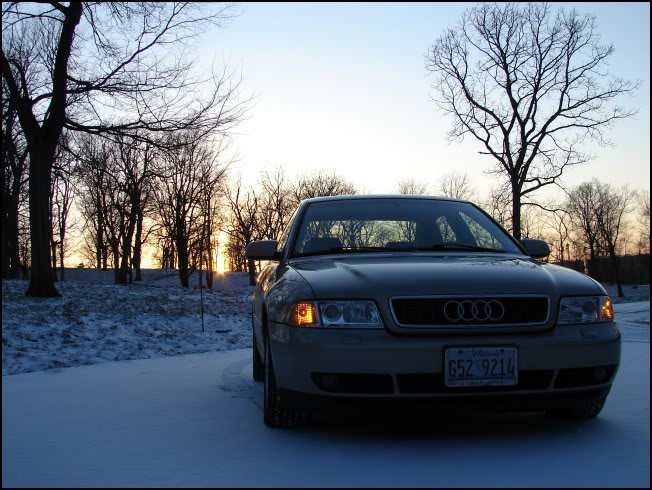 Name:  DSC01375.jpg
Views: 25
Size:  85.8 KB