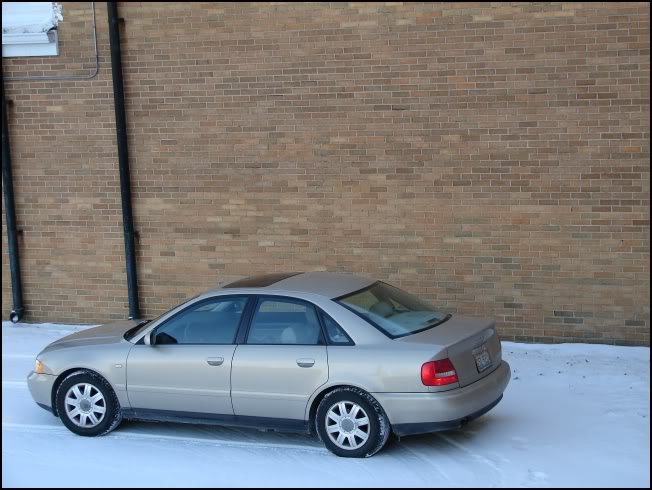 Name:  DSC01359.jpg
Views: 22
Size:  63.6 KB