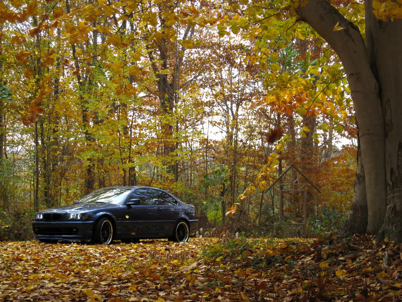 Name:  img0148xp1.jpg
Views: 31
Size:  211.0 KB