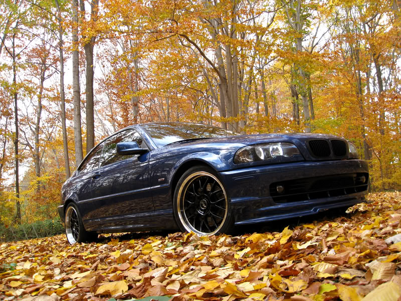 Name:  img0155qt6.jpg
Views: 34
Size:  226.4 KB