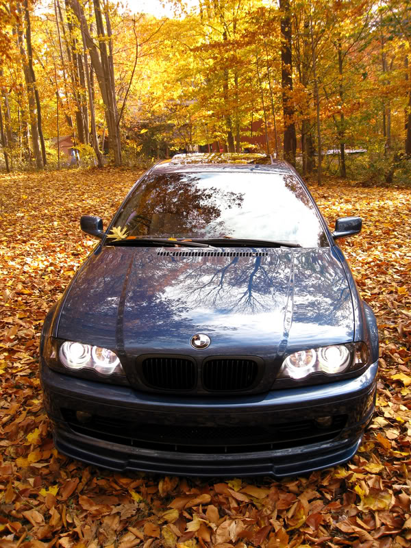 Name:  img0117lg4.jpg
Views: 37
Size:  202.3 KB