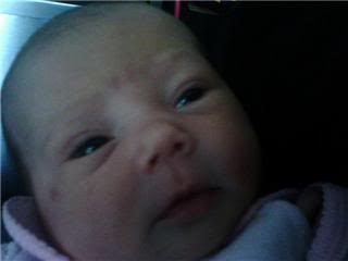 Name:  skyler13.jpg
Views: 27
Size:  5.7 KB