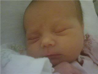 Name:  skyler14.jpg
Views: 29
Size:  5.7 KB