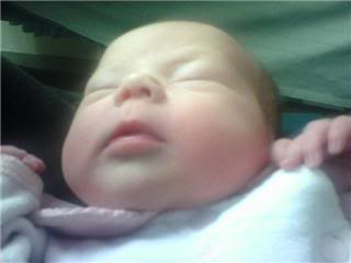 Name:  skyler6.jpg
Views: 27
Size:  7.5 KB