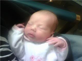 Name:  skyler7.jpg
Views: 27
Size:  8.2 KB