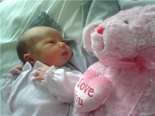 Name:  skyler2.jpg
Views: 23
Size:  11.3 KB