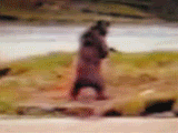 Name:  MVI_0327.gif
Views: 24
Size:  1.59 MB