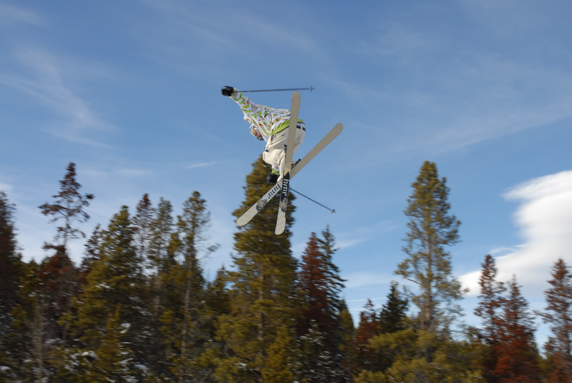 Name:  DSC_0317.jpg
Views: 21
Size:  250.7 KB