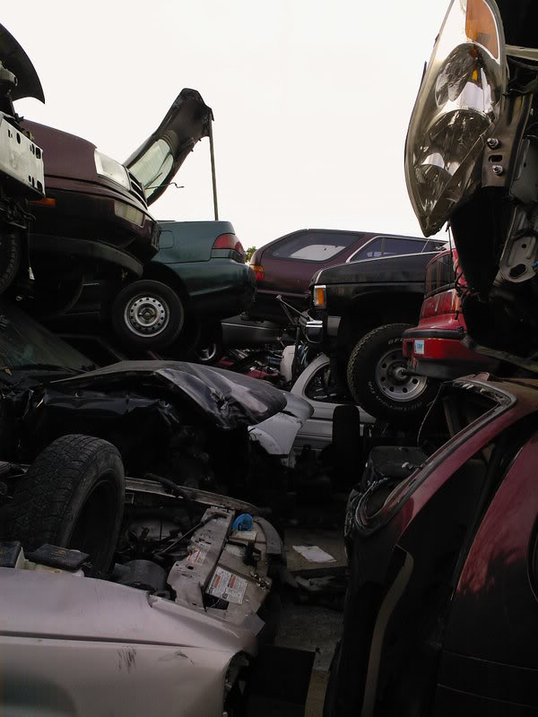 Name:  Photo-0060.jpg
Views: 34
Size:  61.8 KB