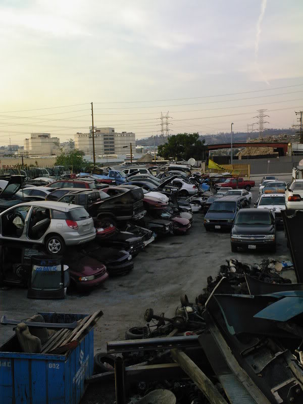 Name:  Photo-0061.jpg
Views: 32
Size:  71.5 KB