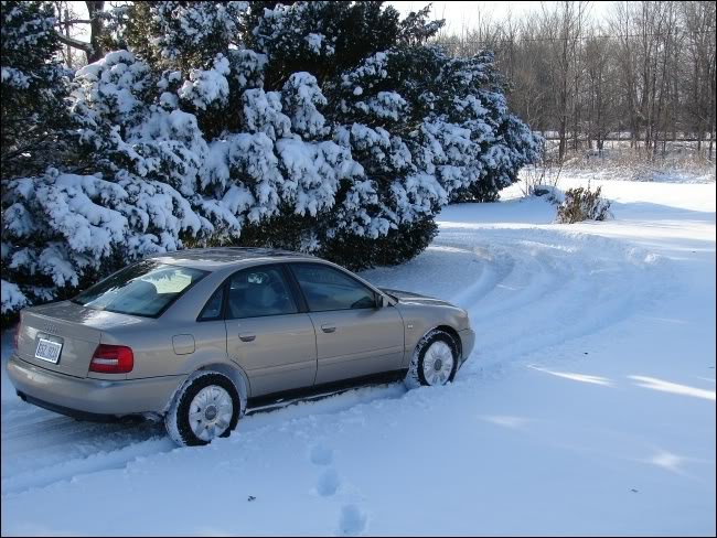 Name: DSC01118-1.jpg
Views: 22
Size: 92.1 KB