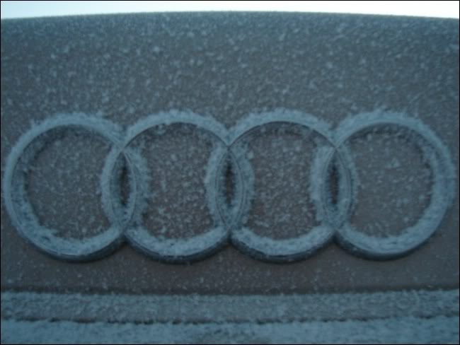 Name: DSC01231.jpg
Views: 20
Size: 38.9 KB