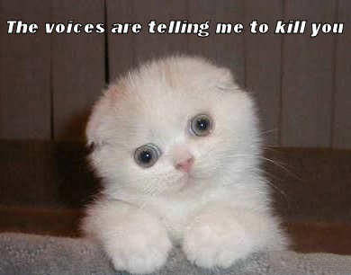 Name:  psycho_cat.jpg
Views: 61
Size:  14.2 KB