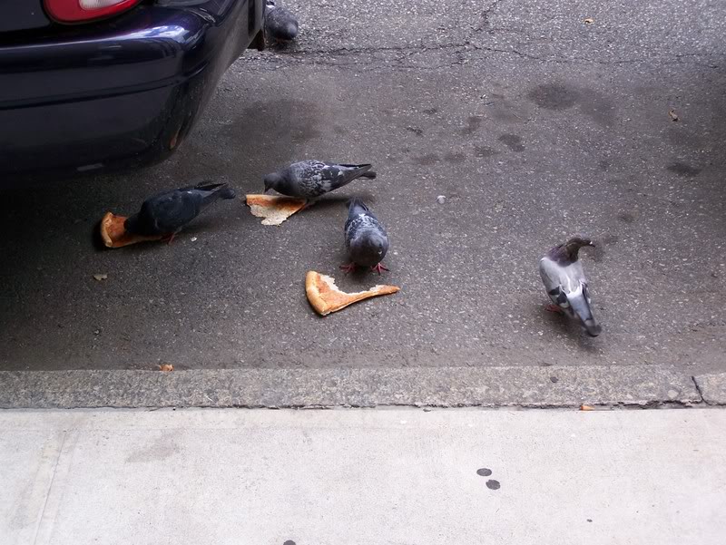 Name:  100_0645.jpg
Views: 59
Size:  124.3 KB