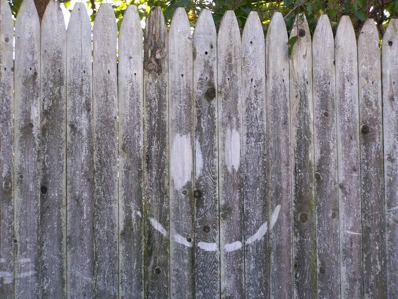 Name:  100_0770-1.jpg
Views: 72
Size:  158.9 KB