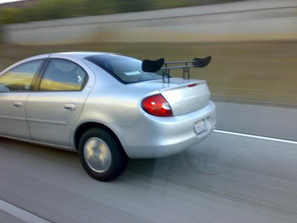 Name:  DomesticRice.jpg
Views: 23
Size:  23.1 KB