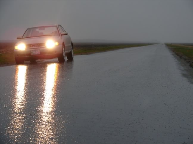 Name:  DSC00988.jpg
Views: 20
Size:  38.5 KB