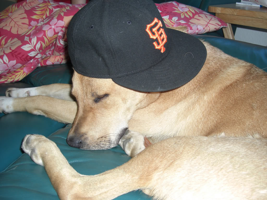 Name:  ffff.jpg
Views: 48
Size:  168.9 KB