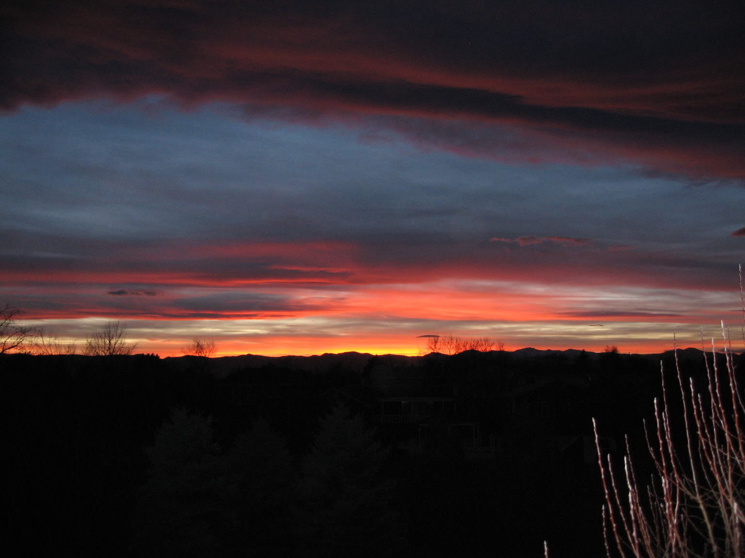 Name:  IMG_0735.jpg
Views: 31
Size:  153.6 KB