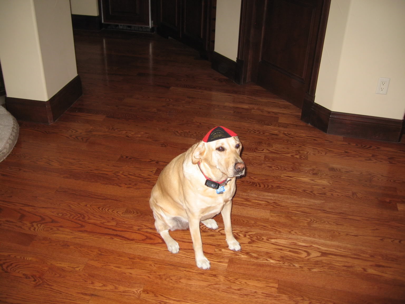 Name:  IMG_0732.jpg
Views: 30
Size:  208.7 KB