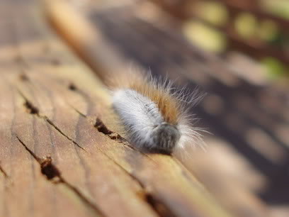 Name:  ctmpphp7A7JLp.jpg
Views: 21
Size:  18.8 KB