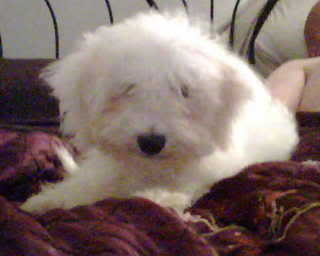 Name:  IMG00012.jpg
Views: 25
Size:  8.3 KB