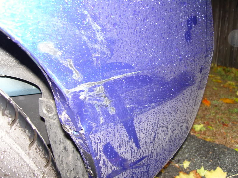 Name:  semnome010.jpg
Views: 49
Size:  141.9 KB