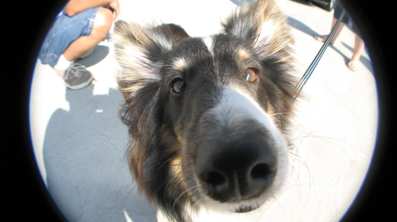 Name:  IMG_7359.jpg
Views: 50
Size:  49.9 KB